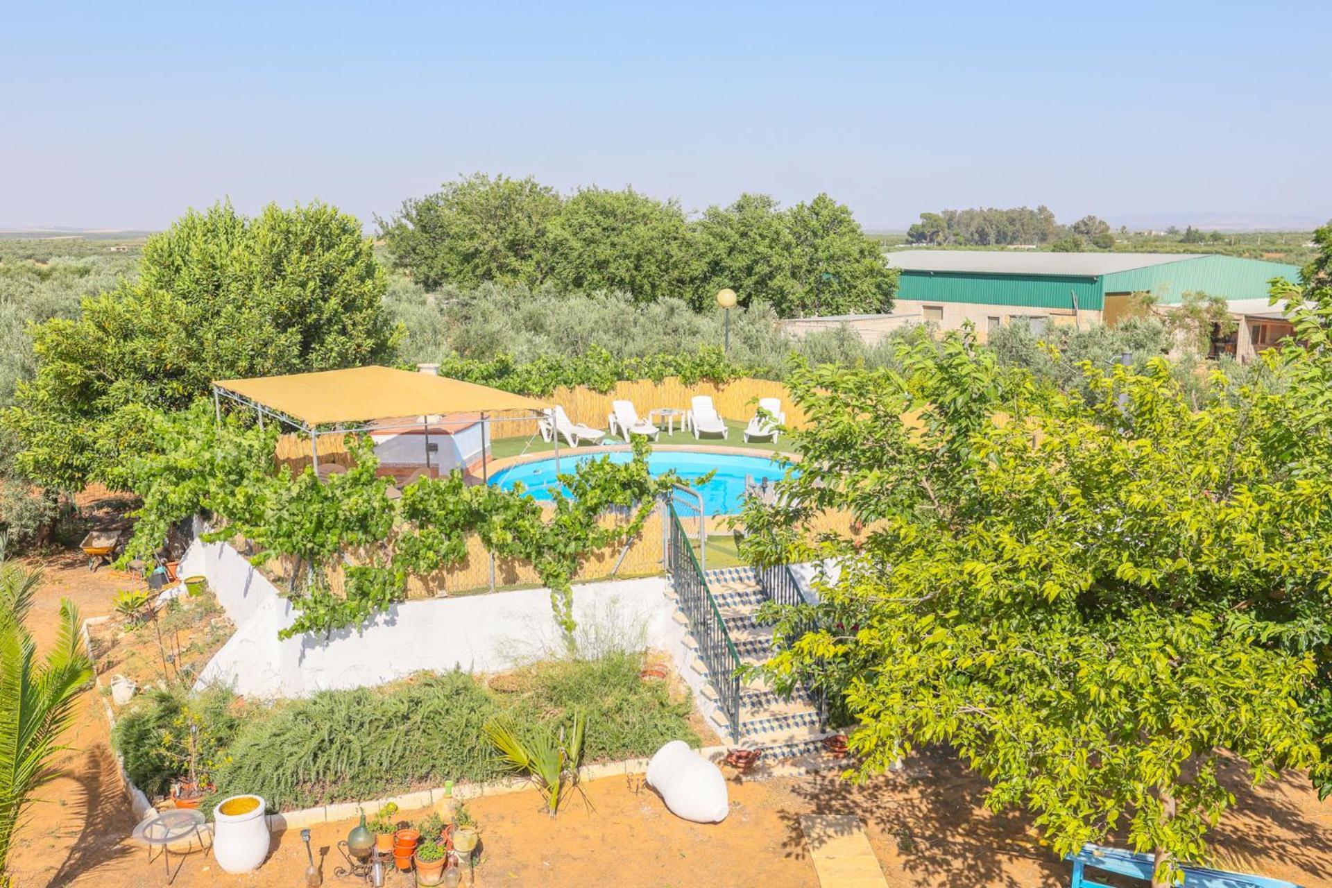 Casa Rural Los Miradores Marchena (Seville) Exterior foto