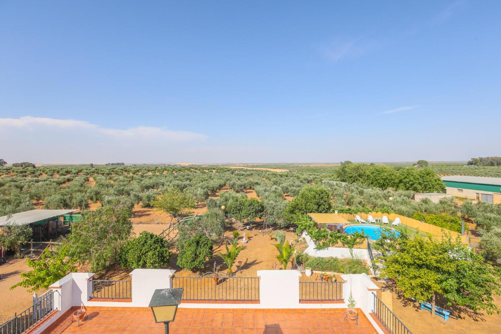 Casa Rural Los Miradores Marchena (Seville) Exterior foto