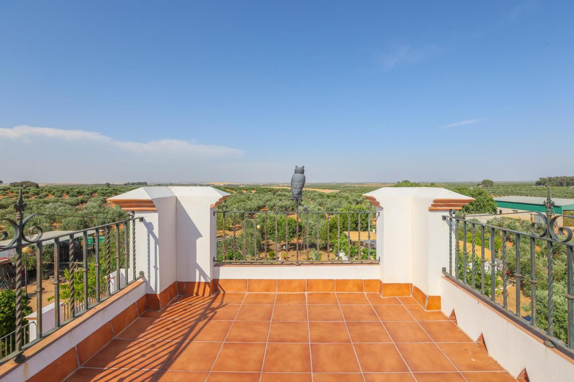 Casa Rural Los Miradores Marchena (Seville) Exterior foto