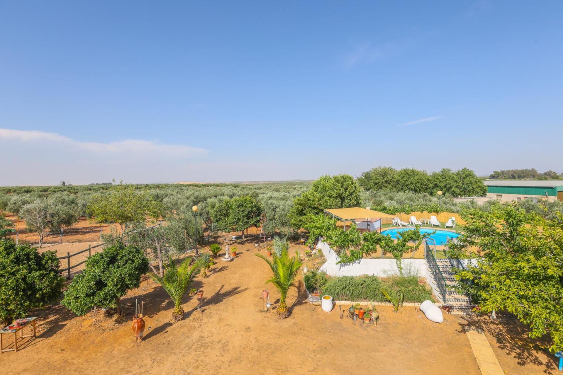 Casa Rural Los Miradores Marchena (Seville) Exterior foto