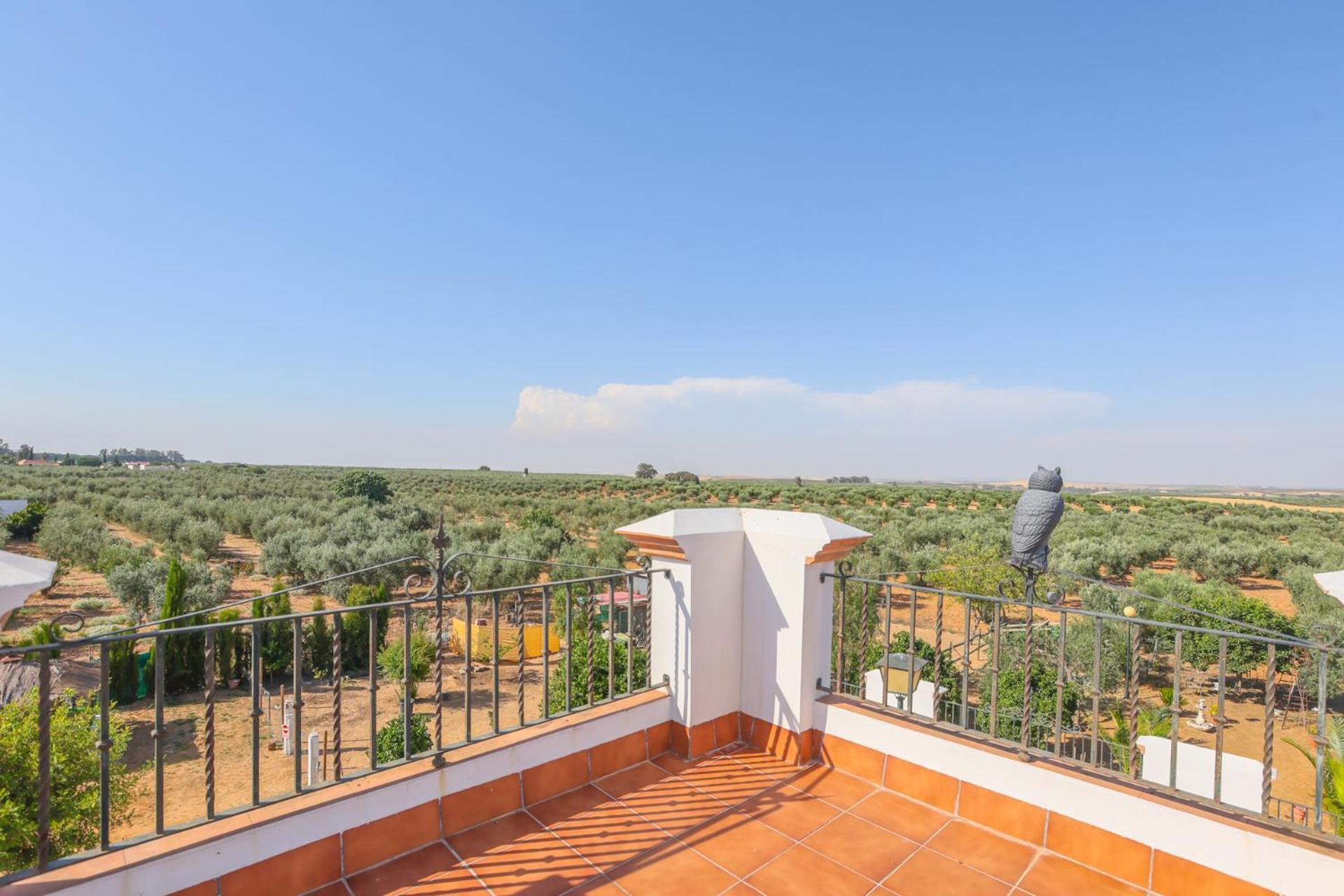Casa Rural Los Miradores Marchena (Seville) Exterior foto