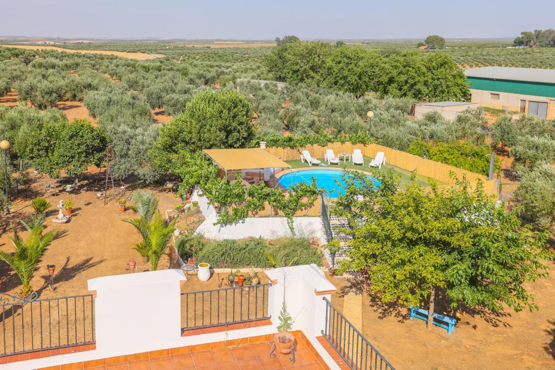 Casa Rural Los Miradores Marchena (Seville) Exterior foto